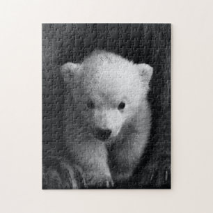 Rompecabezas del cachorro de oso bebé lindo