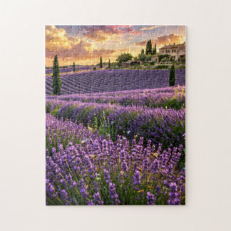 Rompecabezas del Campo de Lavanda
