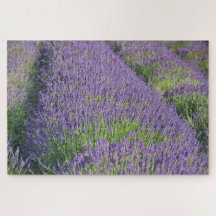 Rompecabezas del campo de lavanda