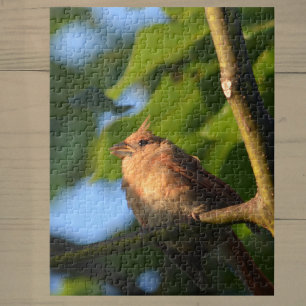 Rompecabezas del Cardenal Fotográfico del Cañón de