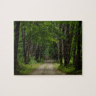 Rompecabezas del carril del verano