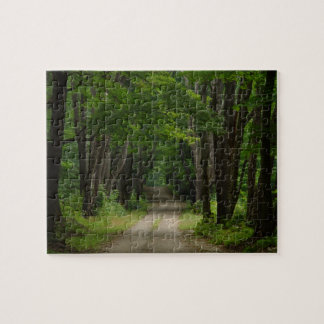 Rompecabezas del carril del verano