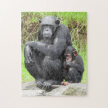 Rompecabezas del chimpancé
