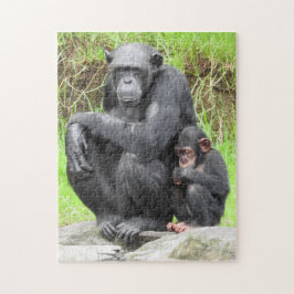 Rompecabezas del chimpancé
