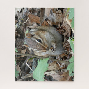 Rompecabezas del Chipmunk