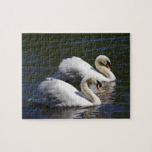Rompecabezas del cisne