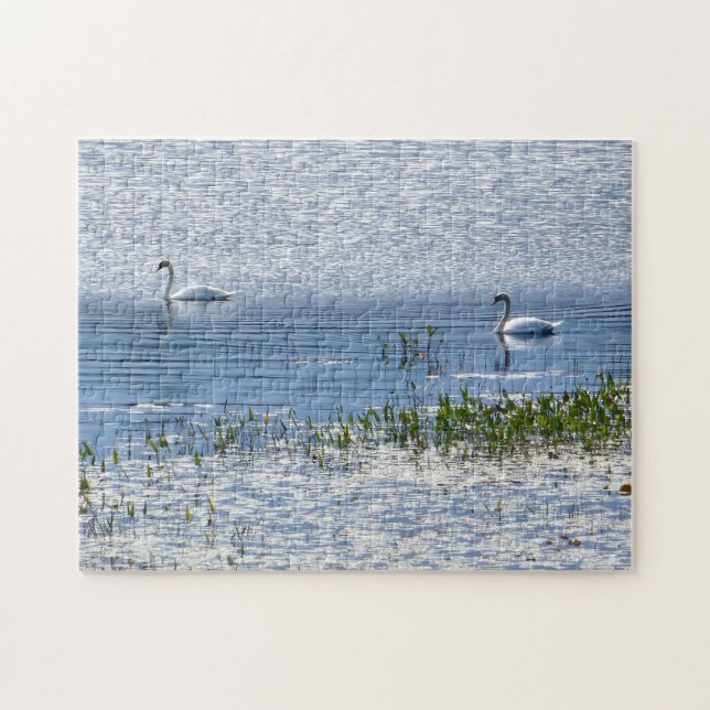 Rompecabezas del Cisne del Lago Sunset (Horizontal)