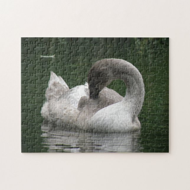 Rompecabezas del Cisne Sleepy (Horizontal)