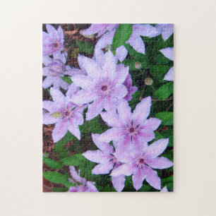 Rompecabezas del *Clematis*