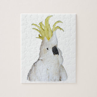 Rompecabezas del Cockatoo