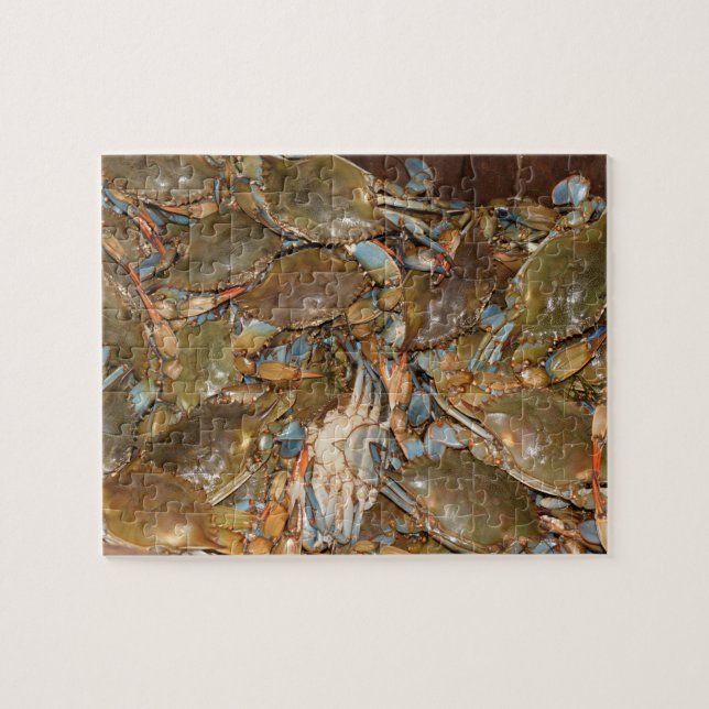 Rompecabezas del Críquet Azul (Horizontal)