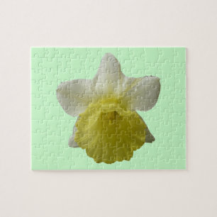 Rompecabezas del Daffodil