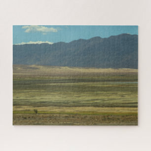 Rompecabezas del desierto pintado