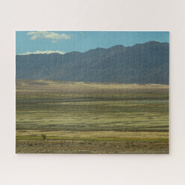 Rompecabezas del desierto pintado (Horizontal)
