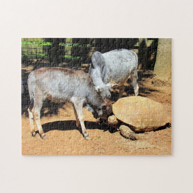 Rompecabezas del Día de la Tortuga (Horizontal)