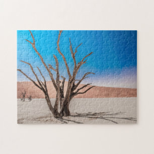 Rompecabezas del escape de postres en Deadvlei