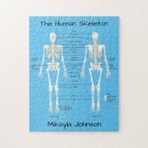 Rompecabezas del esqueleto humano etiquetado