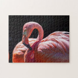 Rompecabezas del flamenco