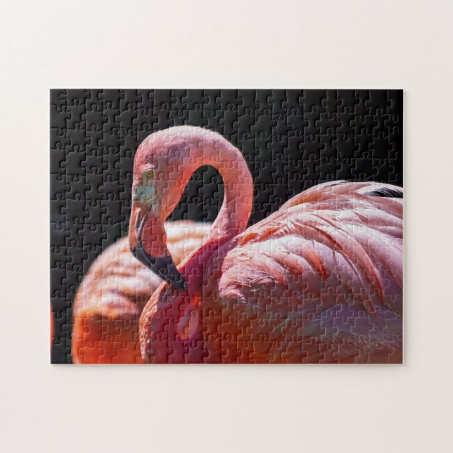 Rompecabezas del flamenco (Horizontal)