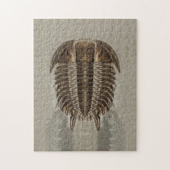 Rompecabezas del fósil de Trilobite (Vertical)