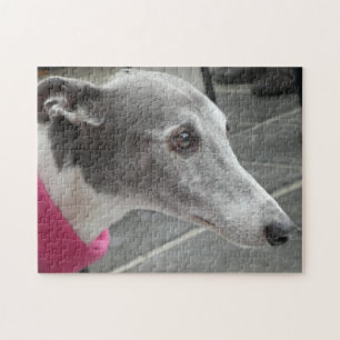 Rompecabezas del galgo
