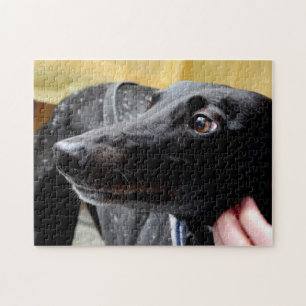 Rompecabezas del galgo