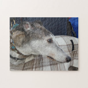 Rompecabezas del galgo