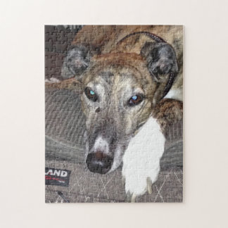 Rompecabezas del galgo