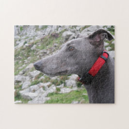 Rompecabezas del galgo (p105) Casey
