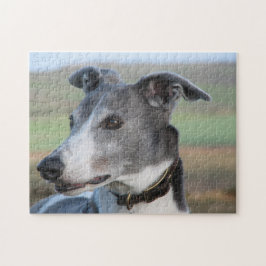 Rompecabezas del galgo (p347)