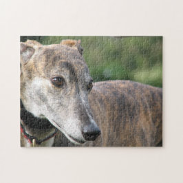 Rompecabezas del galgo (p401) Alicia