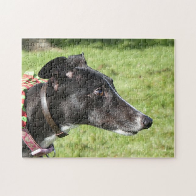 Rompecabezas del galgo (p498) (Horizontal)