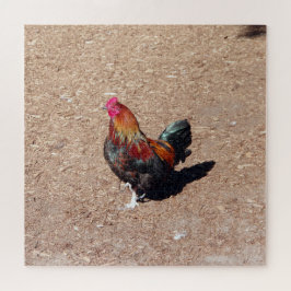 Rompecabezas del gallo de oro