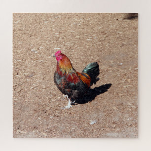Rompecabezas del gallo de oro