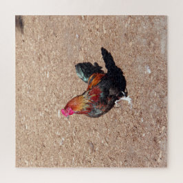 Rompecabezas del gallo de oro