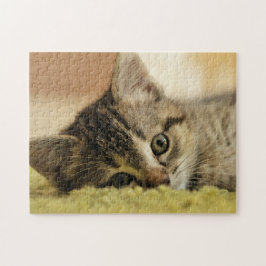 rompecabezas del gatito