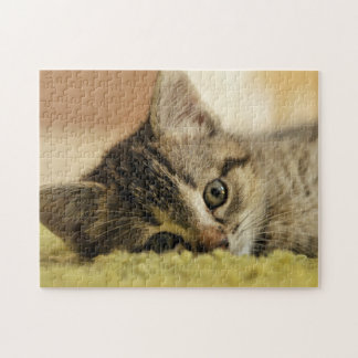 rompecabezas del gatito
