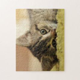 rompecabezas del gatito