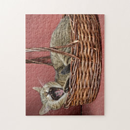 Rompecabezas del gato