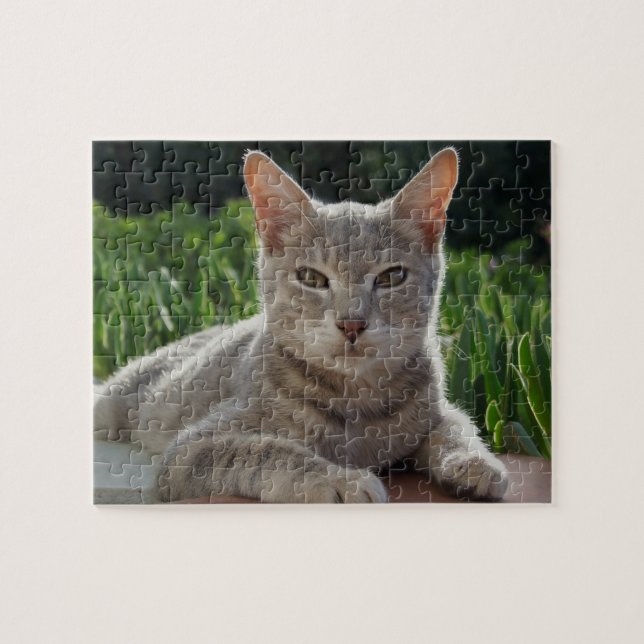 Rompecabezas del gato (Horizontal)