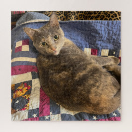 Rompecabezas del gato