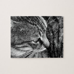 Rompecabezas del gato