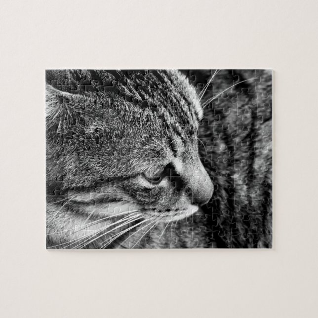 Rompecabezas del gato (Horizontal)