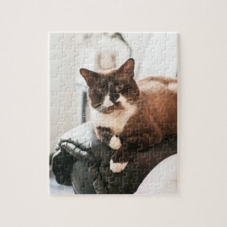 Rompecabezas del gato