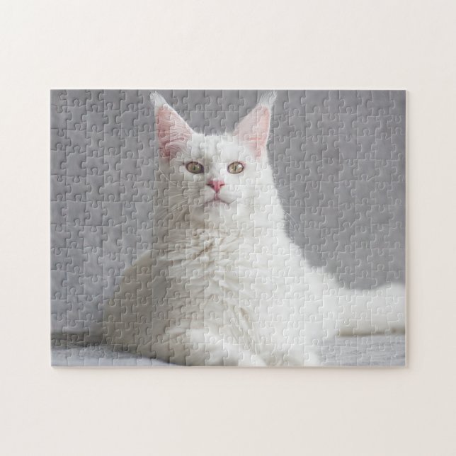 Rompecabezas del gato blanco (Horizontal)