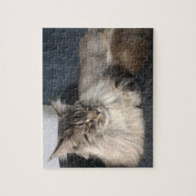 Rompecabezas del gato de Coon de Maine