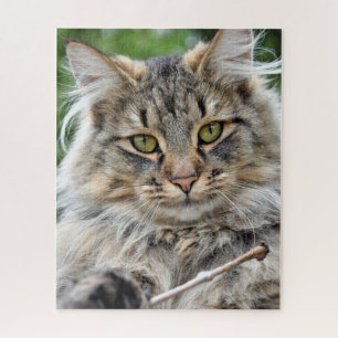 Rompecabezas del gato de pelo largo