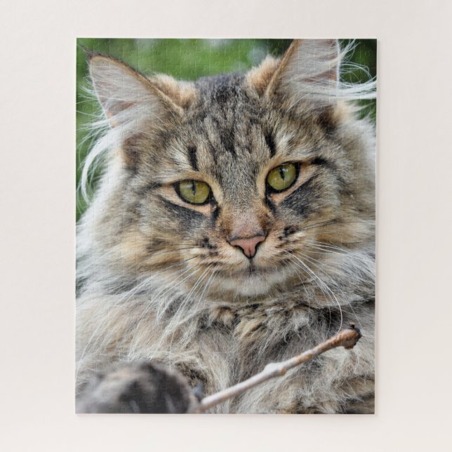 Rompecabezas del gato de pelo largo (Vertical)