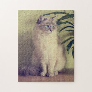 Rompecabezas del gato de Ragdoll