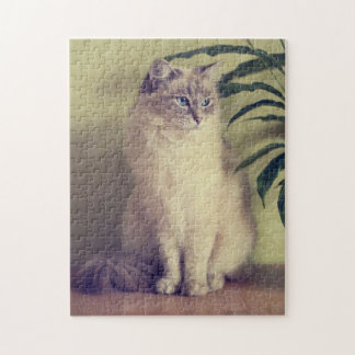 Rompecabezas del gato de Ragdoll